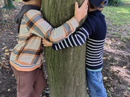 2025-09-29 Przytul się do drzewa MOTYLKI